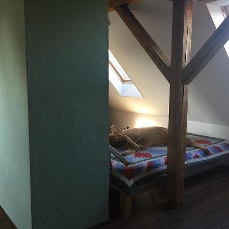 Ferienwohnung Schulze Freital Exteriér fotografie