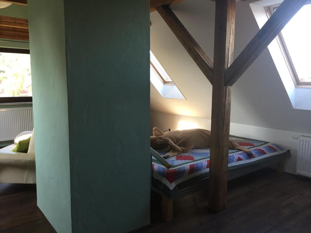 Ferienwohnung Schulze Freital Exteriér fotografie