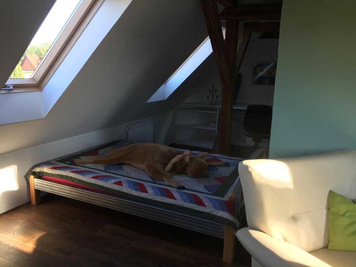 Ferienwohnung Schulze Freital Exteriér fotografie